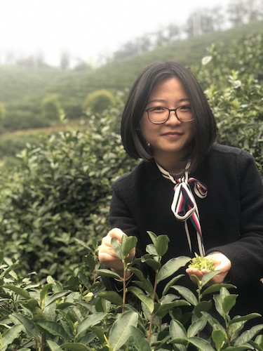 干文婷