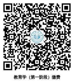 教育学（第一阶段）