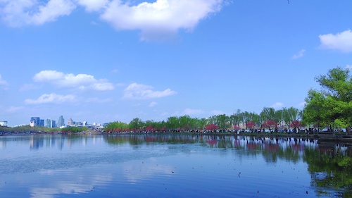 6关伟老师摄影作品