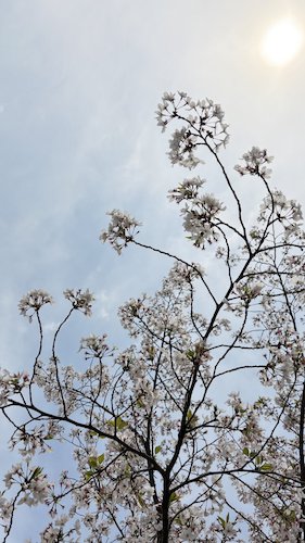 11胡玥老师摄影作品