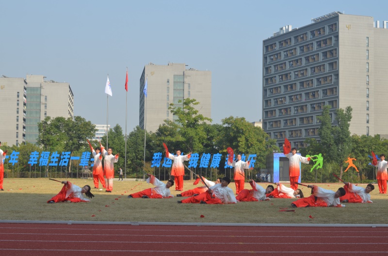 图为武术表演.JPG